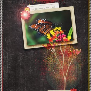 Monarch