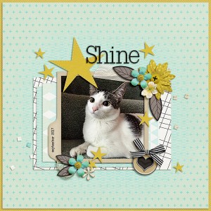 shine