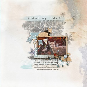 Planning-nara