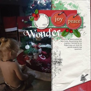 Wonder