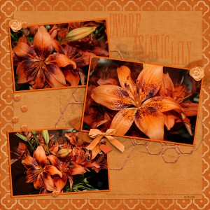 2010-Flowers-Monochrome-Orange