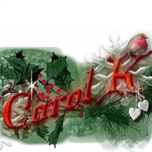 Winter Siggy