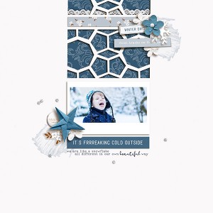 Winter Days