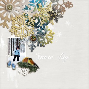 Snow Day
