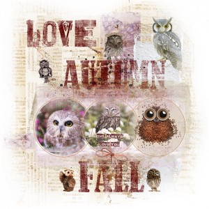 Dawn Inskip-November/December-Template Challenge-The Owls Have It