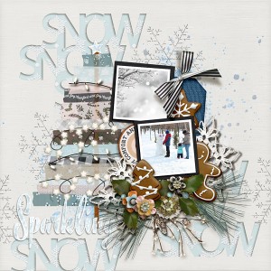 Sparkling Snow