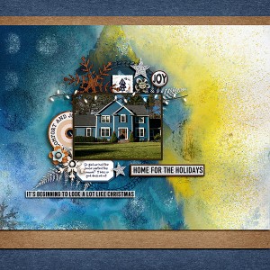 Blue-House
