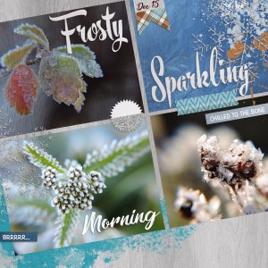 15dec_Frost_Munich01