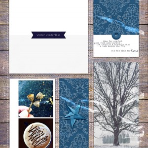 Winter-Wonderland