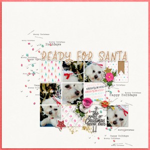 Ready For Santa