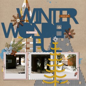 Winter Wonderful