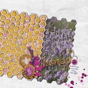 can you see the bee?