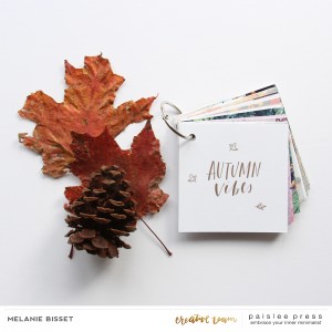 4x4 Autumn Vibes mini-album