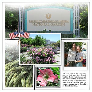 Botanic Garden Left
