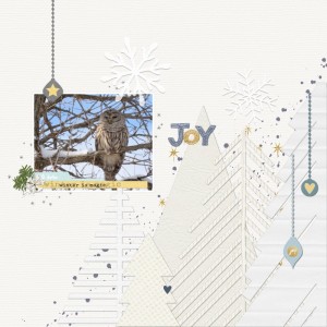 2017.02.13 Barred Owl