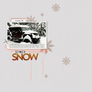 So Much Snow
