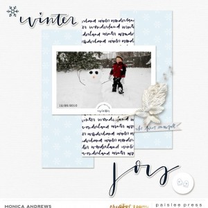 Winter Joy