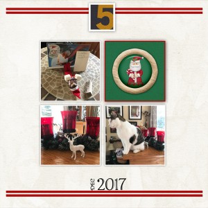 PS - DYD D 5