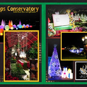 December Journaling Challenge - Winter Flower Show & Light Garden
