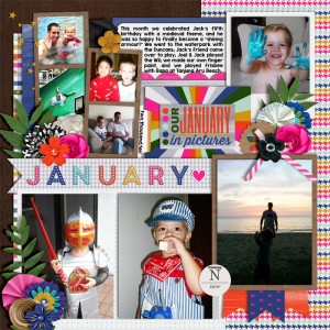 January 2010 Review