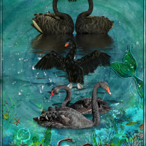 SEVEN SWANS SWIMMING