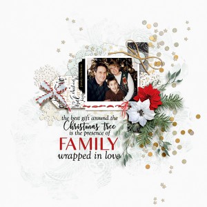 Family Wrapped In Love