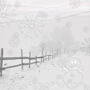 Snow Copy
