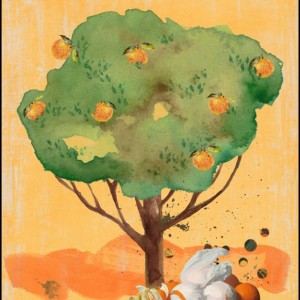 ORANGES