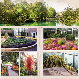Franklin Park Botanical Garden