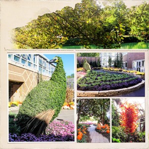 Franklin Park Botanical Garden_left