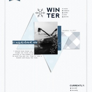 Wintervibes_projectbykerrianne-copy