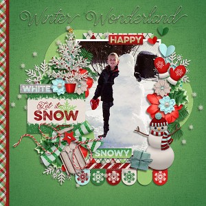Winter Wonderland