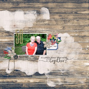 Anniversary Album Cover
