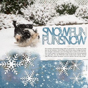 Snow Fun