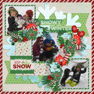 Snowy Winter