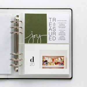 December 2017 Day 20: Joy, Treasured