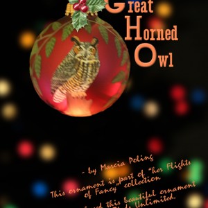 Great-Horned-Owl-(2017)