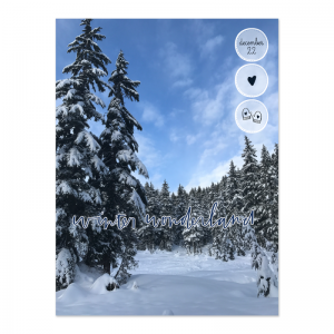 Snowshoeing December 22 - December Daily album