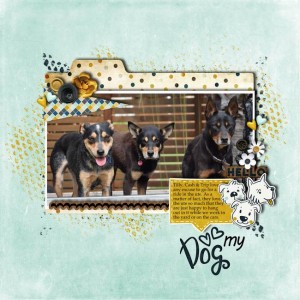 Love-my-dogs