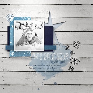 Snow Day- December 2017