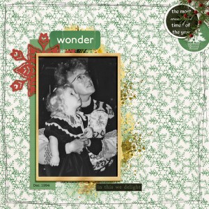 Wonder