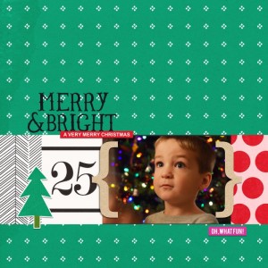 Holiday Wonderment