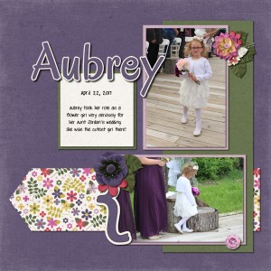 20170422 Aubrey