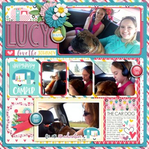Lucy The Car Dog