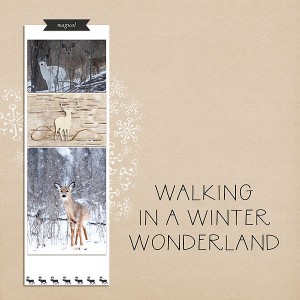 Deer::Winter