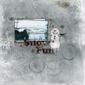 Snow Fun