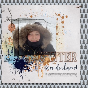 Winter Wonderland (Moc6-2)