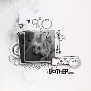 Don't-Bother_MOC-2_TLP_WEB