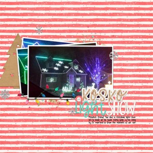 Christmas Light Show