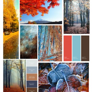 Mood board inspiration
